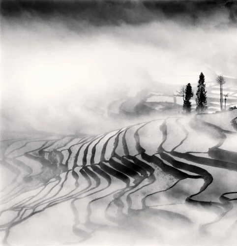 Landscape Foggy Dramatic Textured High Contrast Mysterious
