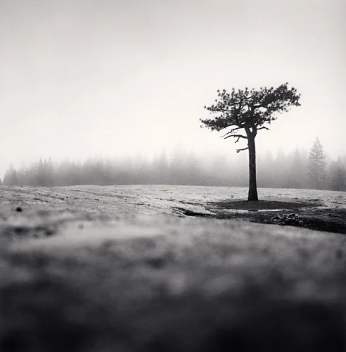 Landscape Foggy Dramatic Minimalist High Contrast Mysterious