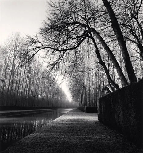 Landscape Foggy Dramatic Textured High Contrast Mysterious