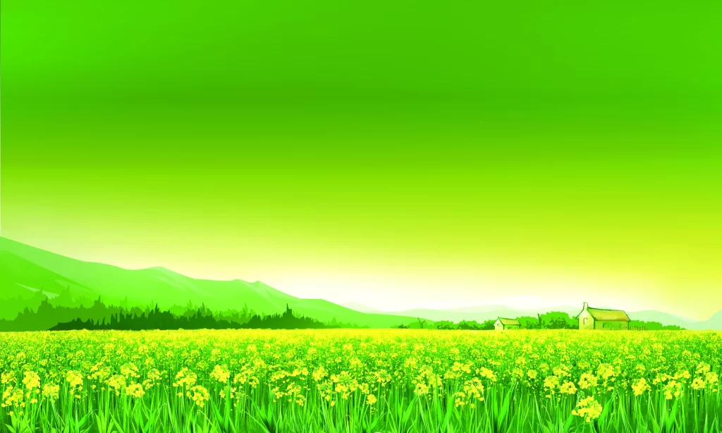 Landscape Illustration Green Field Yellow Flowers Mountains Houses