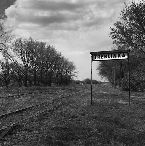 Landscape Railroad Tracks Trees Signpost Black and White Dramatic Mysterious