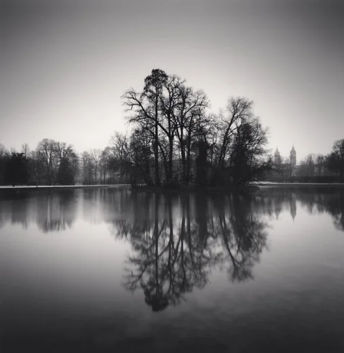 Landscape Reflective Trees Silhouetted Calm Mysterious