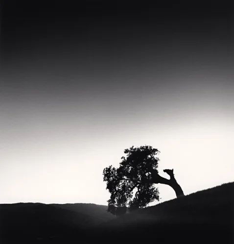 Landscape Silhouette Dramatic High Contrast Moody Nature