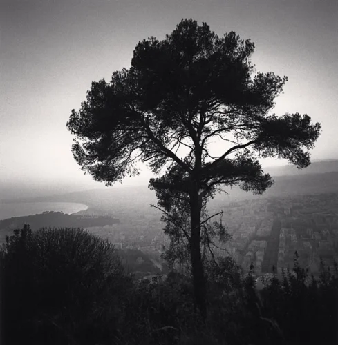 Landscape Silhouette Dramatic High Contrast Moody Atmospheric