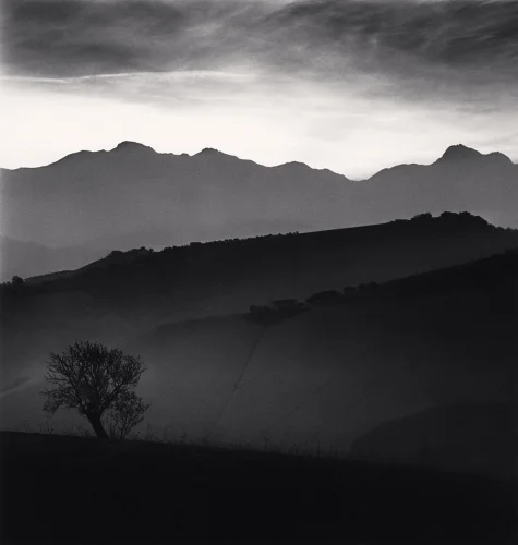Landscape Silhouetted Tree Mountains Foggy Dramatic Atmospheric