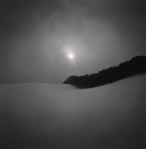 Landscape Snowy Moonlit Silhouetted Trees Minimalist Mysterious