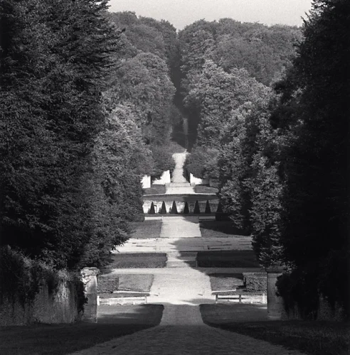 Landscape Symmetrical Pathway Trees Monumental Structure High Contrast Dramatic