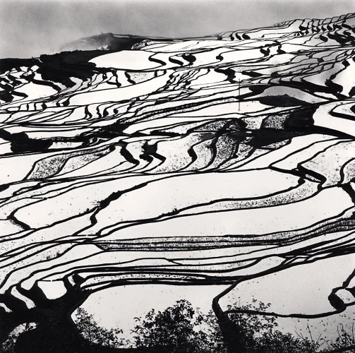 Landscape Terraced Fields High Contrast Dramatic Textured