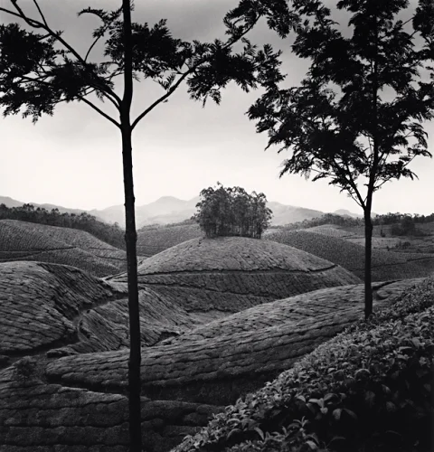 Landscape Textured High Contrast Dramatic Mysterious Nature