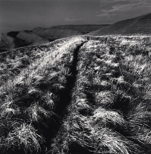 Landscape Textured High Contrast Dramatic Mysterious Nature