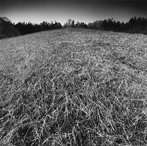 Landscape Textured High Contrast Dramatic Mysterious Nature