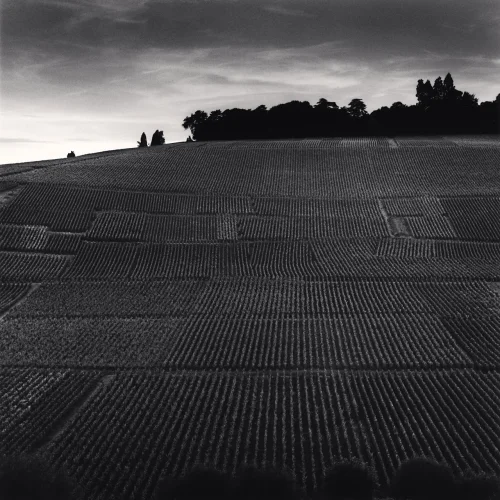 Landscape Textured High Contrast Dramatic Mysterious