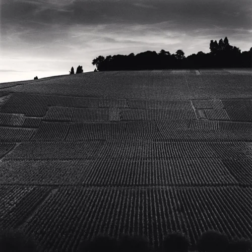Landscape Textured High Contrast Dramatic Mysterious
