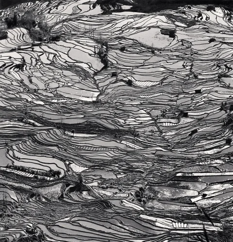 Landscape Textured High Contrast Dramatic Mysterious