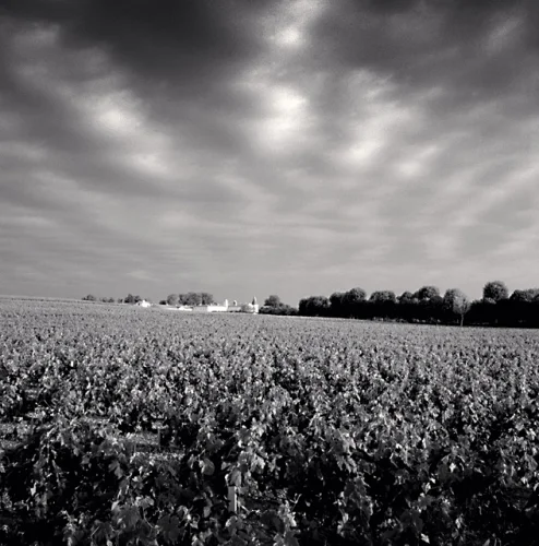 Landscape Textured High Contrast Dramatic Atmospheric