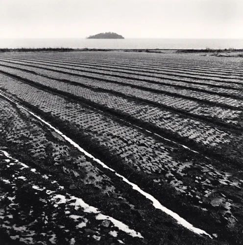 Landscape Textured High Contrast Moody Agricultural