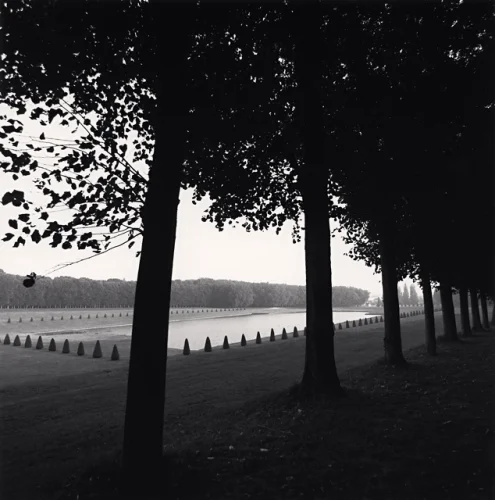 Landscape Trees Water Minimalist High Contrast Serene