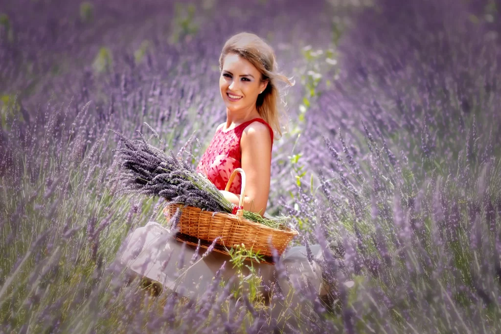 Lavender Purple Blooms Field Basket