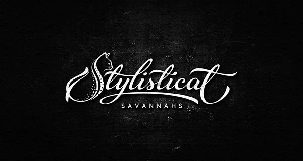 Logo White Black Branding