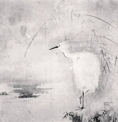 Minimalist Bird Monochrome Dramatic Nature