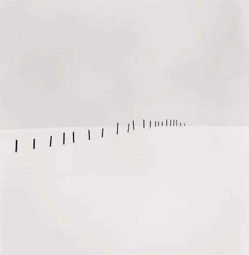 Minimalist Dotted Line High Contrast