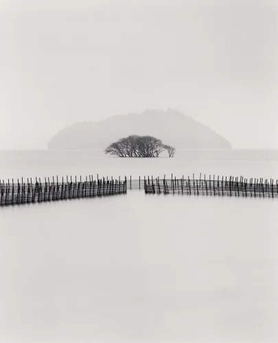 Minimalist Fence Trees Foggy Dramatic Landscape