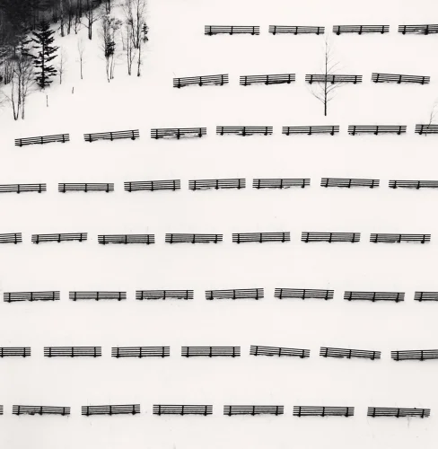 Minimalist Fences Snowy Landscape High Contrast Dramatic