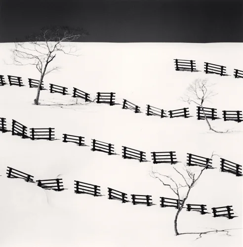 Minimalist Fences Trees Winter High Contrast