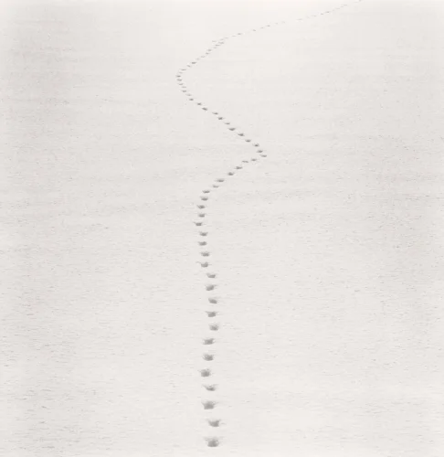Minimalist Footprints High Contrast Mysterious Nature