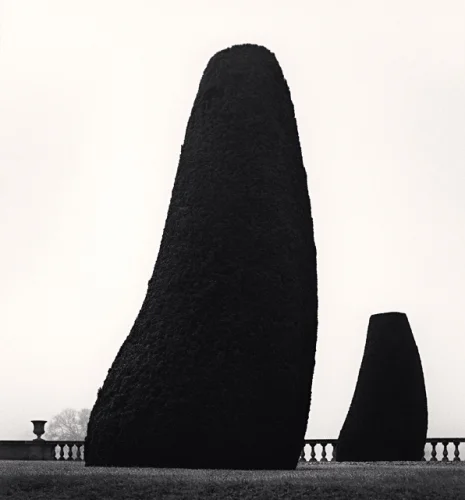 Minimalist High Contrast Nature Dramatic Mysterious