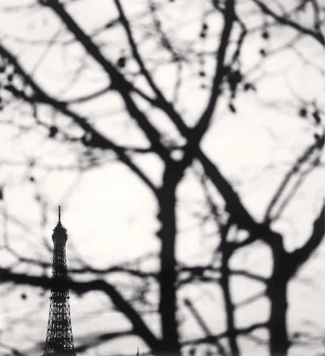 Minimalist High Contrast Nature Silhouette Eiffel Tower