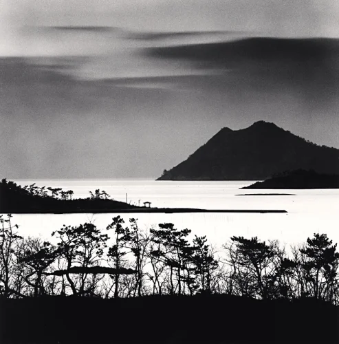 Minimalist High Contrast Nature Silhouetted Trees Mountain