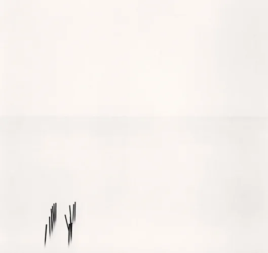 Minimalist High Contrast Dramatic Nature