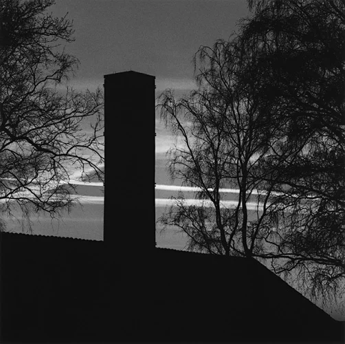 Minimalist High Contrast Mysterious Silhouette Nature