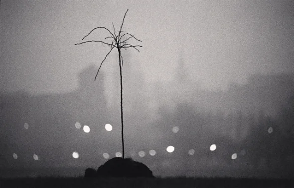 Minimalist High Contrast Dramatic Mysterious Nature
