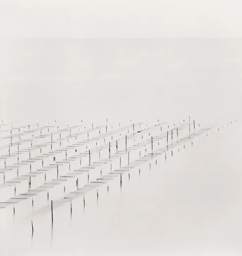 Minimalist High Contrast Mysterious Atmospheric Nature
