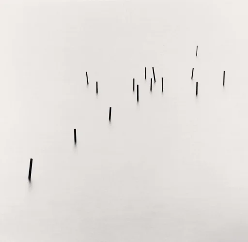 Minimalist High Contrast Mysterious Atmospheric Nature