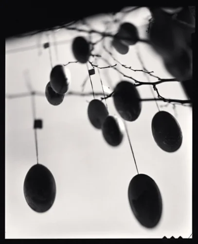 Minimalist High Contrast Nature Moody