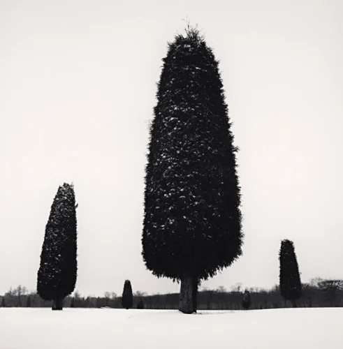 Minimalist High Contrast Nature Dramatic Mysterious