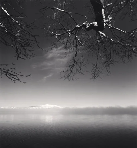 Minimalist Nature Textured High Contrast Mysterious Atmospheric