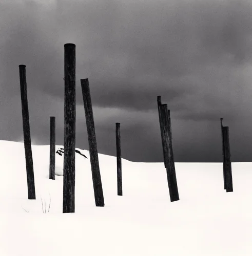 Minimalist Poles Snowy Landscape High Contrast Mysterious