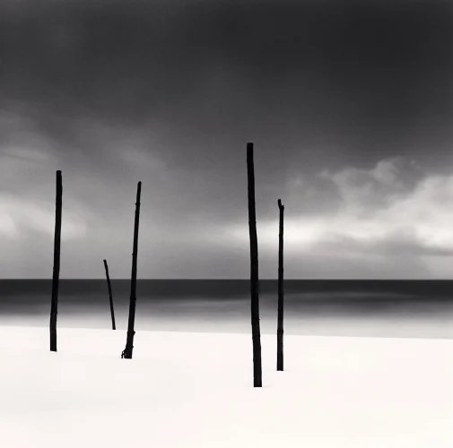 Minimalist Poles Snowy Landscape Dramatic High Contrast