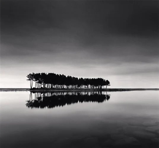 Minimalist Reflection Trees Silhouetted Calm Water
