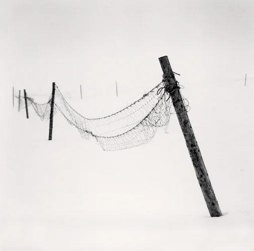 Minimalist Snowy Fence Dramatic High Contrast Nature
