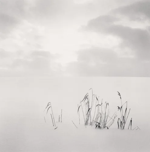 Minimalist Snowy Landscape Dramatic High Contrast Nature