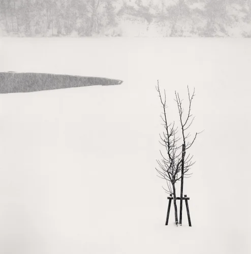 Minimalist Snowy Landscape High Contrast Serene Nature