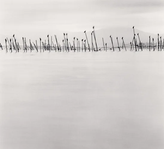 Minimalist Snowy Landscape Dramatic High Contrast Mysterious