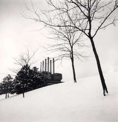 Minimalist Snowy Trees Industrial High Contrast