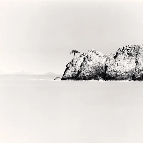Minimalist Textured High Contrast Nature