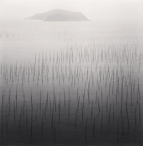 Minimalist Textured High Contrast Mysterious Atmospheric Nature